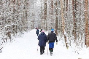 Спортивная программа «Тропа здоровья»