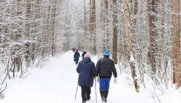 Спортивная программа «Тропа здоровья»