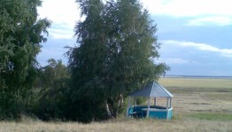 Экскурсия в лес