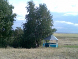 Экскурсия в лес