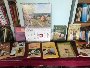 Пчелы и пасека