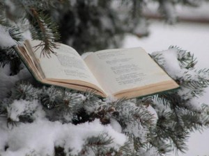 Час поэзии «Поэзия зимней природы»