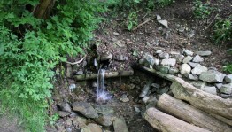 «Живи родник» чистый четверг. Дела для малой родины.