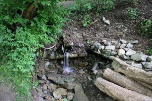 «Живи родник» чистый четверг. Дела для малой родины.