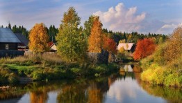 Экскурсия«Краски осени».