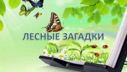 Викторина «Лесные загадки»