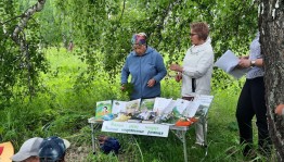 Акция «Лекарственные травы»
