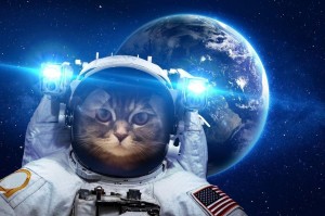 Час информации «Кошка–космонавт»