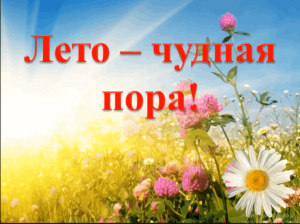 Конкурсно–игровая программа «Лето–чудная пора»