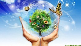 Эко – путешествие «Мир вокруг нас»