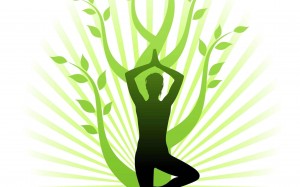 Информационный час «Здоровью зеленый свет»