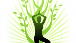 Информационный час «Здоровью зеленый свет»