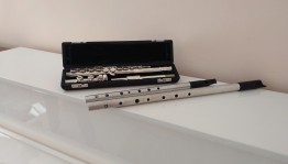 Мастер-класс «Уроки игры на флейте»