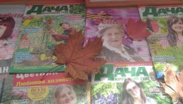 Литературная гостиная «Мамин день»