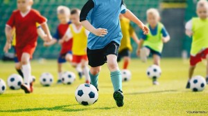 Спортивная программа «Спорт - это жизнь»