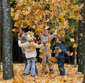 Игротека:«Рыжий листопад»