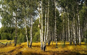 Этнокультурное наследие России