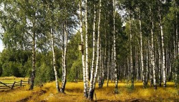 Этнокультурное наследие России