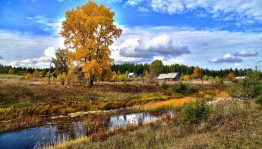 «Осенний лес родного края»