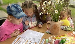 «Ромашковый день»