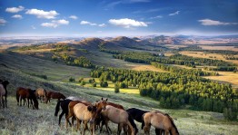 Викторина « Мой Башкортостан »