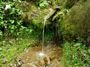 Субботник по очистке родника «Верхний»