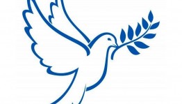 Мастер –класс . «Белый голубь – посланник Мира ».