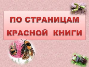 Познавательный час «По страницам Красной книги»