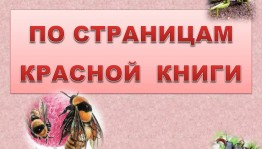 Познавательный час «По страницам Красной книги»