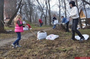 Экологический субботник« Чистый двор»