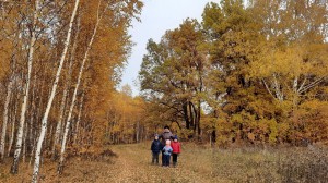 «Осени чудесные мгновенья». Тематическая онлайн фотовыставка