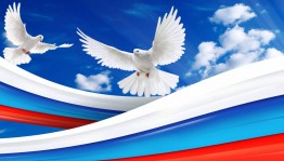 Патриотический час«Под небом единым»