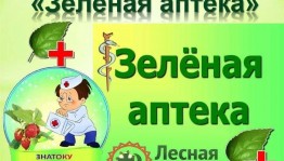 Экологический урок «Путешествие в зелёную аптеку»