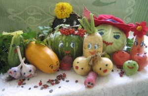 Выставка «Чудеса природы»