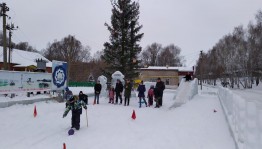 Спортивно-игровая программа «Ай-да сани, едут сами!»