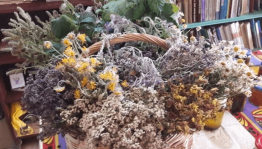 Познавательный час «Лекарственные травы родного края»