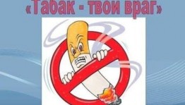«Враги здоровья табак и алкоголь»