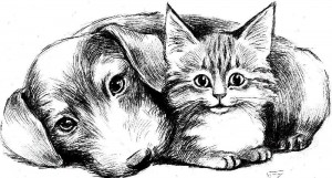 «Мои домашние питомцы» познавательная беседа