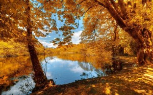 Осенний калейдоскоп