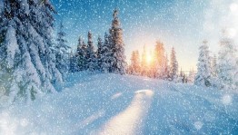 Занимательный час «Снежные загадки»