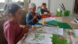 Познавательная программа «Почемучка»