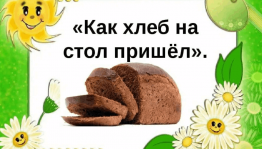 «Как хлеб на стол пришел»