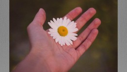 Квест - игра«Ромашки в белых рубашках»