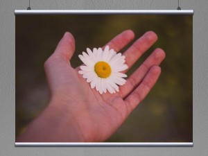 Квест - игра«Ромашки в белых рубашках»