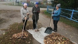 Акция «Чистое село»