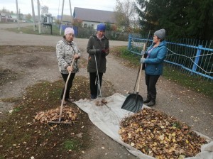 Акция «Чистое село»