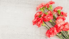 Концерт «9 мая»