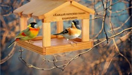 Каждой пичушке наши кормушки