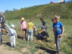 Тропой наблюдений: «Паучок на паутинке и кузнечик на травинке»