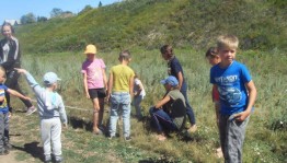 Тропой наблюдений: «Паучок на паутинке и кузнечик на травинке»